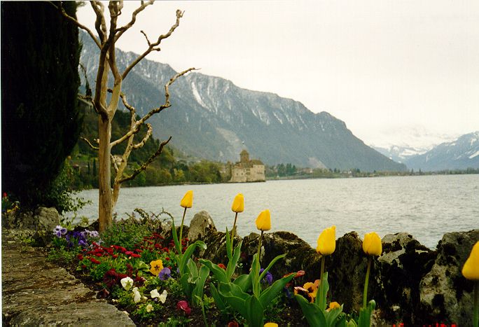 montreaux photo